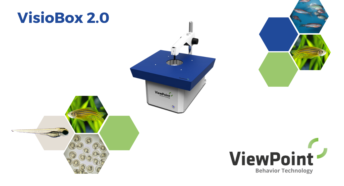 VisioBox - Optokinetic response zebrafish