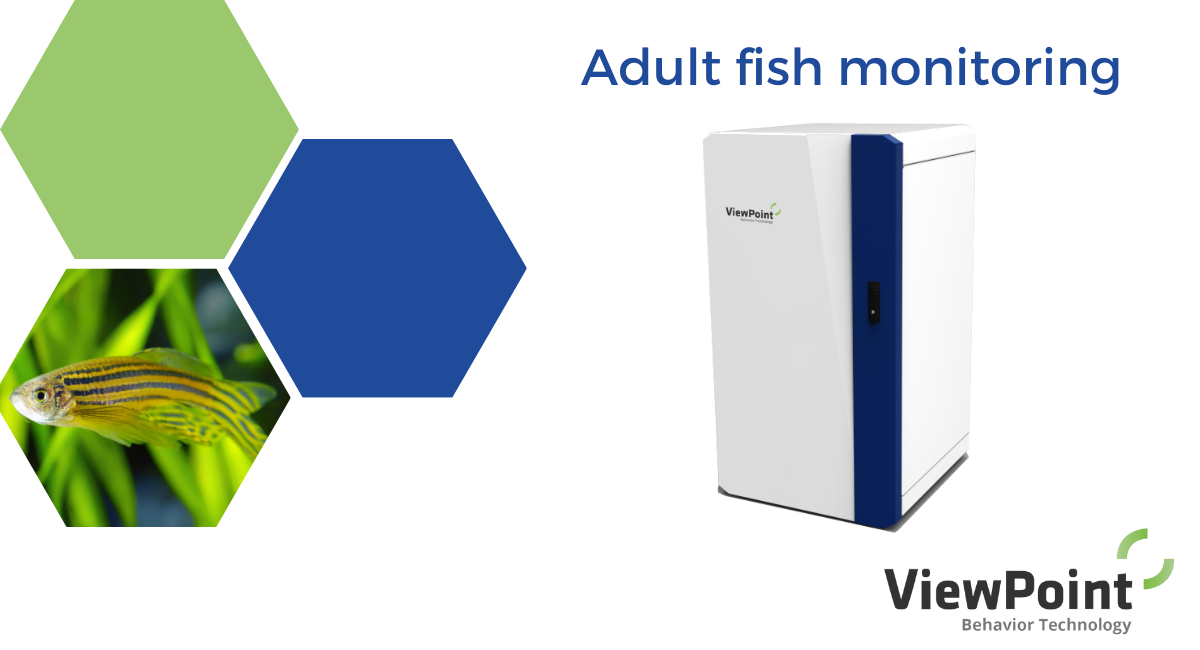 Zebracube - Adult fish monitoring