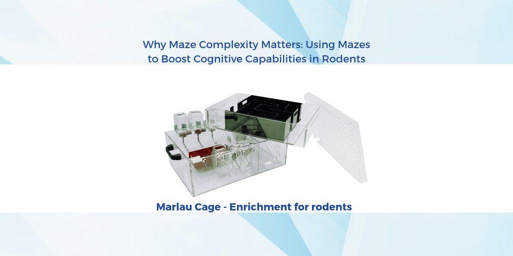 Why Maze Complexity Matters: Using Mazes to Boost Cognitive Capabilities in Rodents