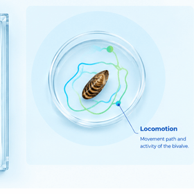 Bivalve Motility Tracking