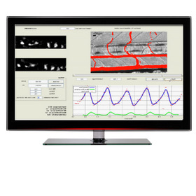 MicroZebraLab