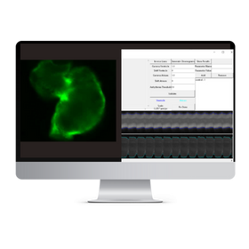 Zebrafish Cardiac Performance