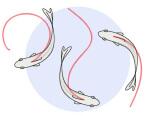 Shoaling