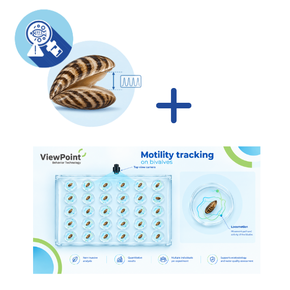 A Complementary Approach to Bivalve Monitoring