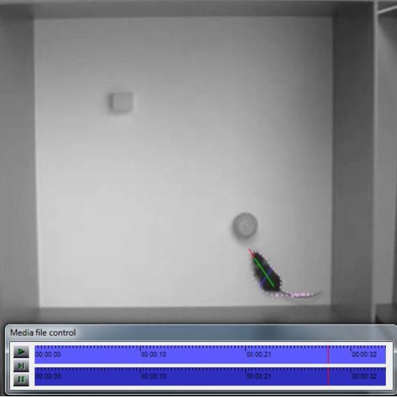 A multi-purpose software for mice behavioral tests