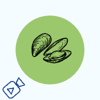 Bivalves Valvometry and Motility