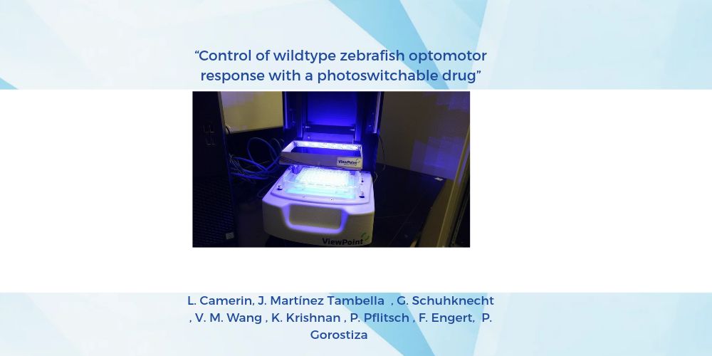 Illuminating the Mind: How a Photoswitchable Drug Rewires Zebrafish Behavior