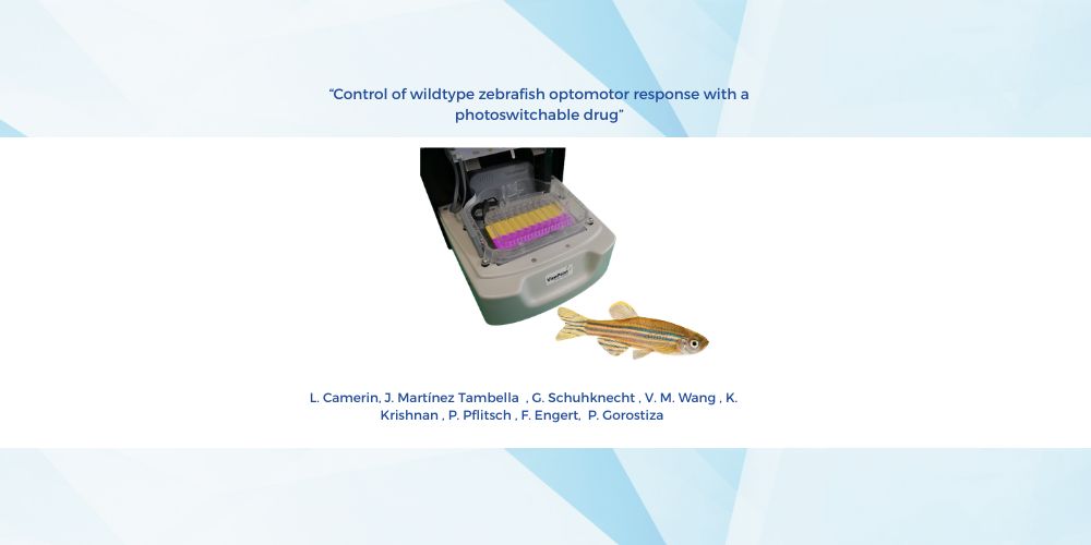 Illuminating the Mind: How a Photoswitchable Drug Rewires Zebrafish Behavior