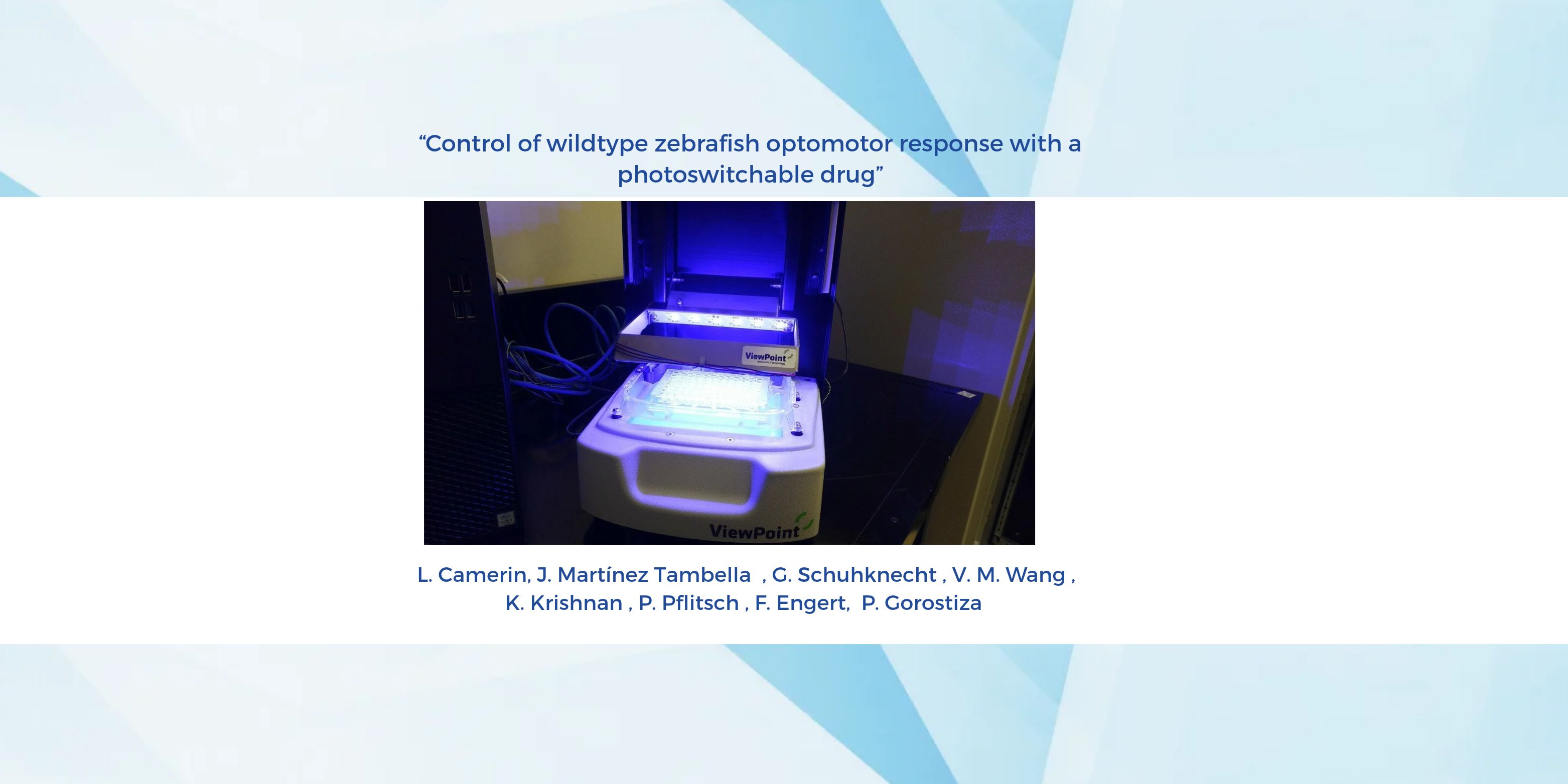 Illuminating the Mind: How a Photoswitchable Drug Rewires Zebrafish Behavior