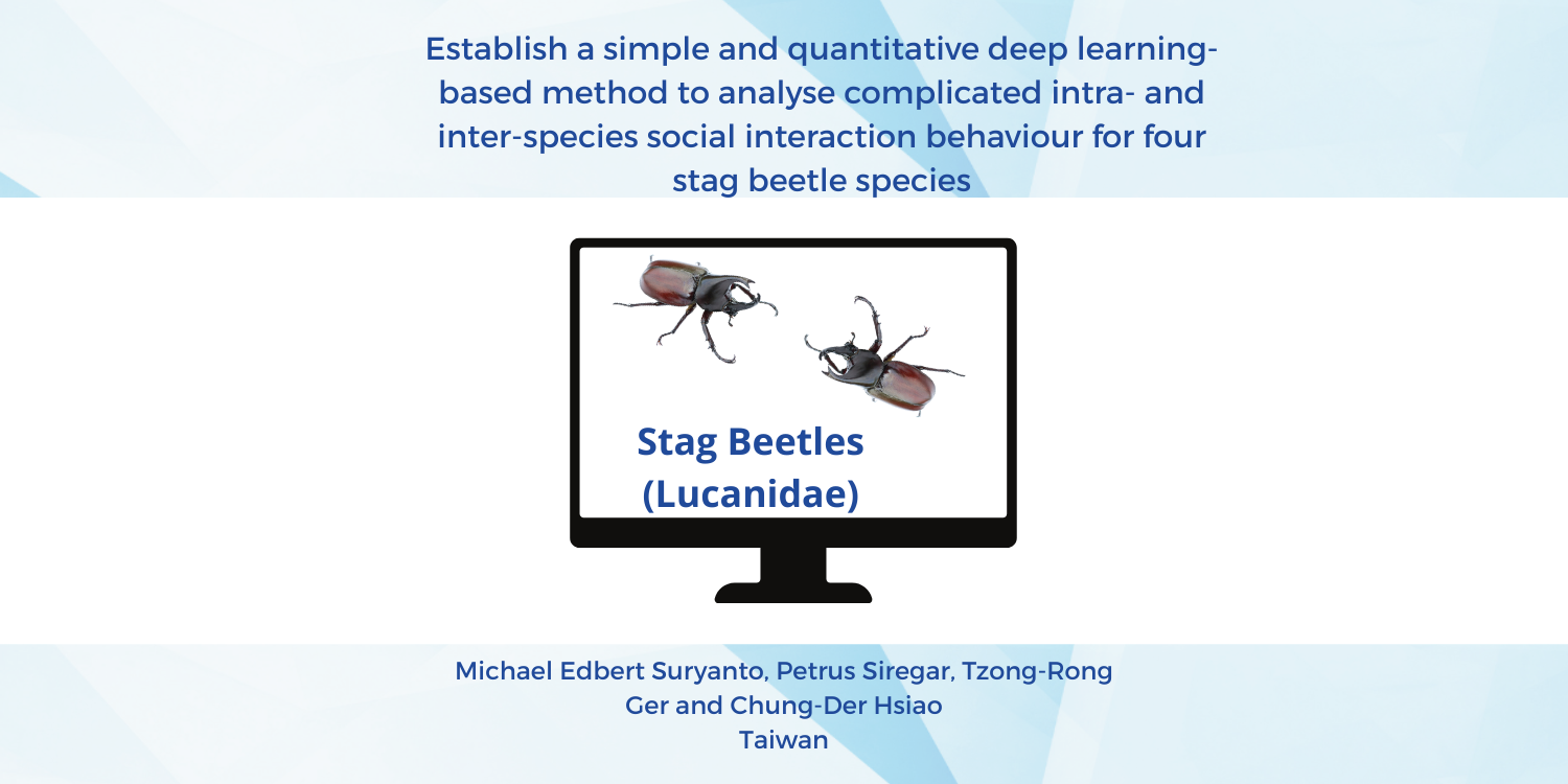 Revolutionizing Entomology: Deep Learning and the ZebraBox in Stag Beetle Research