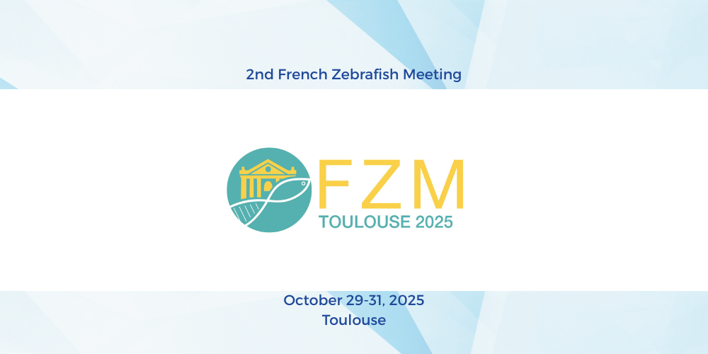 Highlights from the 2nd French Zebrafish Meeting to be held in Toulouse, October 29th-31st, 2025