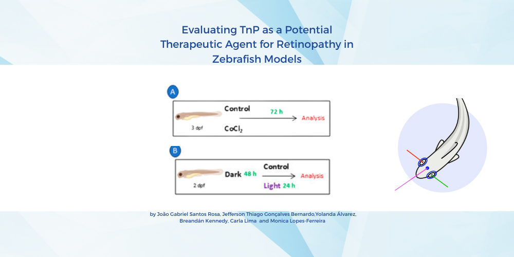 Evaluating TnP as a Potential Therapeutic Agent for Retinopathy in Zebrafish Models